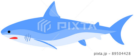アオザメ 89504428