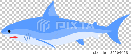 アオザメ 89504428