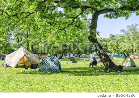 デイキャンプ 秋ヶ瀬公園 デイキャンプ 秋ヶ瀬公園 89504536