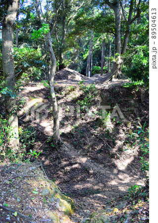 高天神城 日本100名城 高天神城 日本100名城 89504613