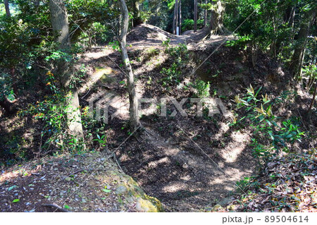 高天神城　日本100名城 89504614