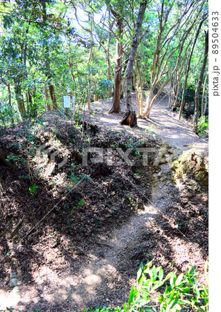 高天神城　日本100名城 89504633