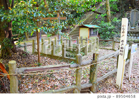 高天神城　日本100名城 89504658