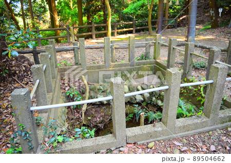 高天神城　日本100名城 89504662