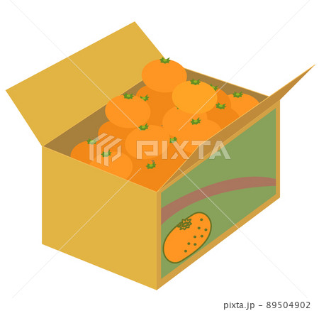 みかんがたくさん入った段ボール箱 みかんがたくさん入った段ボール箱 89504902