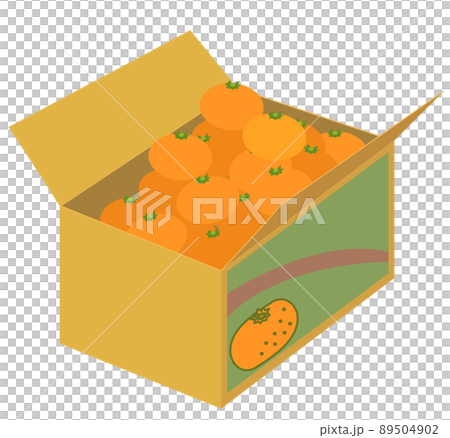 みかんがたくさん入った段ボール箱 みかんがたくさん入った段ボール箱 89504902