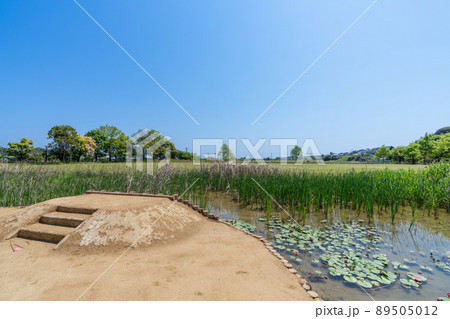 《大分県》弥生のムラ安国寺集落遺跡公園　国東半島国東市 89505012
