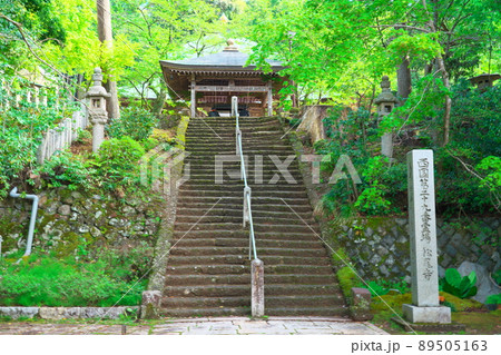 【西国三十三所】第二十九番　松尾寺の新緑に囲まれた参道　京都府舞鶴市 89505163