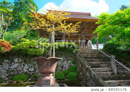 【西国三十三所】第二十九番　松尾寺仁王門と新緑5　京都府舞鶴市 89505176