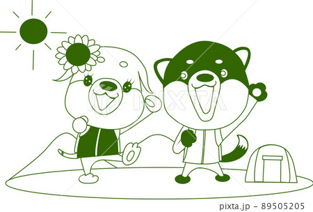 柴犬の兄弟のトレッキング 89505205