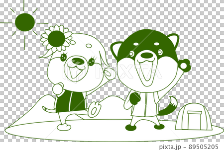 柴犬の兄弟のトレッキング 89505205