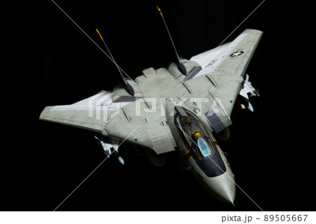 F-14A TOMCAT　第84戦闘飛行隊　VF-84　ジョリーロジャース　黒バック 89505667