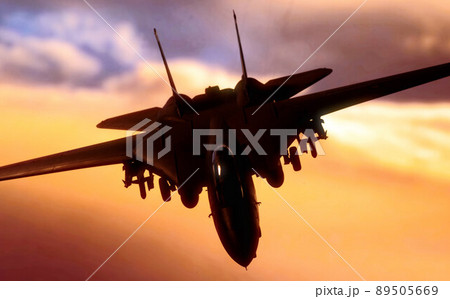 F-14A TOMCAT　第84戦闘飛行隊　VF-84　ジョリーロジャース 89505669