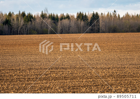 Slope arable land in front of the forest. Landscape with agricultural land, recently played and prepared for the crop. 89505711