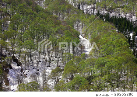 青森県の城ヶ倉大橋周辺からの風景 89505890