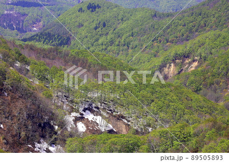 青森県の城ヶ倉大橋周辺からの風景 青森県の城ヶ倉大橋周辺からの風景 89505893