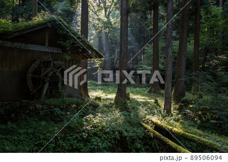 幻想的な森の中の古びた水車小屋と光芒 89506094