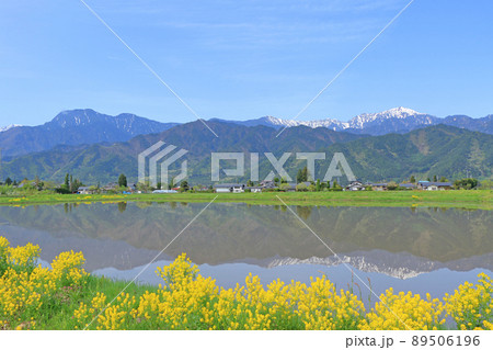 安曇野　田植え時の山麓から望む北アルプス 89506196