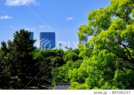 江戸城天守台から眺める風景 89506237