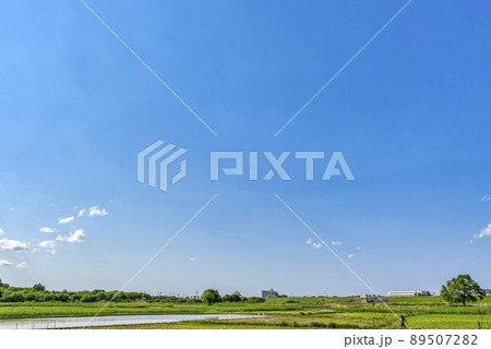 春の秋ヶ瀬公園 埼玉県 春の秋ヶ瀬公園 埼玉県 89507282