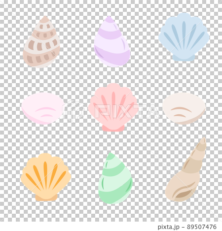 貝殼插圖的變體集 貝殼插圖的變體集 89507476