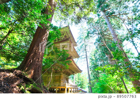 【日本遺産】県内唯一の国宝建造物がある寺・明通寺　国宝の三重塔と杉木立2　福井県小浜市 89507763