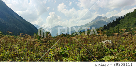 View of Dombay Mountains 89508111