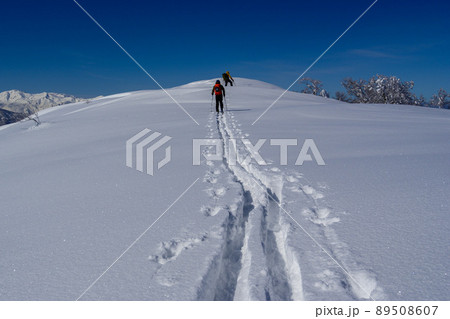 大渚山バックカントリー 大渚山バックカントリー 89508607