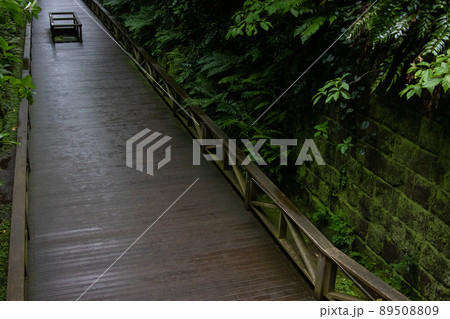 猿島の歩道 89508809