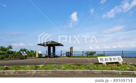 伊豆半島の静岡県沼津市井田煌めきの丘の春 伊豆半島の静岡県沼津市井田煌めきの丘の春 89509758