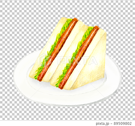 皿に乗ったハムカツとキャベツのサンドイッチ2枚セット　料理・カフェメニューの手描き水彩イラスト素材 89509802
