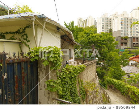 風景 ソウル市 城北区 89509844