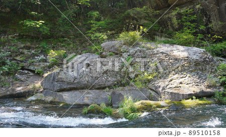 鬼怒川ライン下り 鬼怒川ライン下り 89510158
