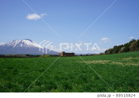三角山の一本桜から見える岩手山 89510824