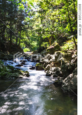 大阪府の島本町の尺代に位置する山吹渓谷の渓流 大阪府の島本町の尺代に位置する山吹渓谷の渓流 89511008