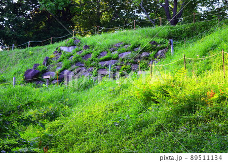 興国寺城 続日本100名城 興国寺城 続日本100名城 89511134