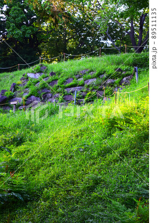 興国寺城　続日本100名城 89511135