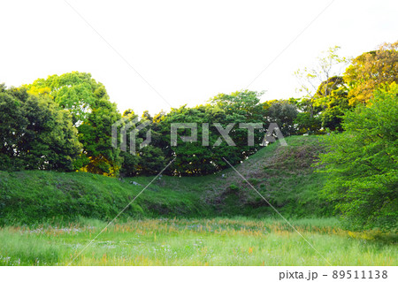 興国寺城 続日本100名城 興国寺城 続日本100名城 89511138