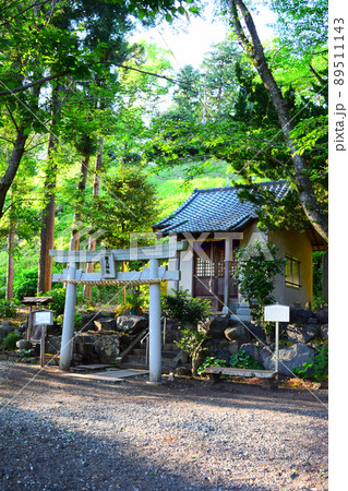興国寺城　続日本100名城 89511143