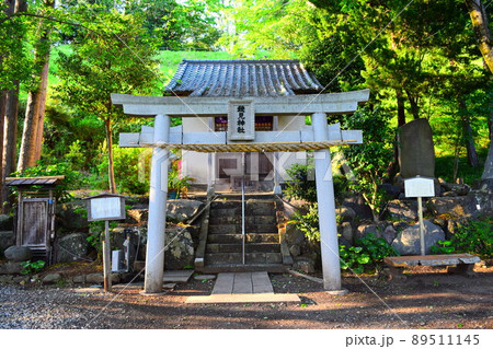 興国寺城 続日本100名城 興国寺城 続日本100名城 89511145