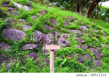 興国寺城 続日本100名城 興国寺城 続日本100名城 89511154