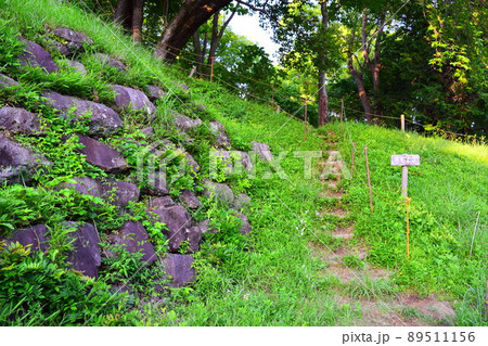 興国寺城 続日本100名城 興国寺城 続日本100名城 89511156