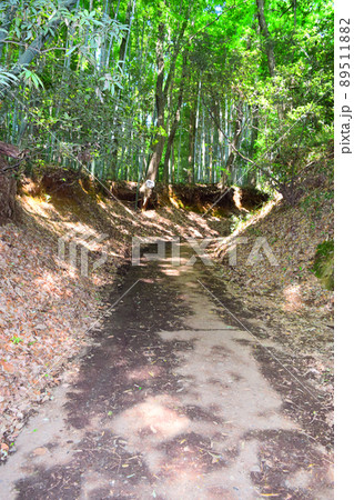 滝山城　続日本100名城 89511882