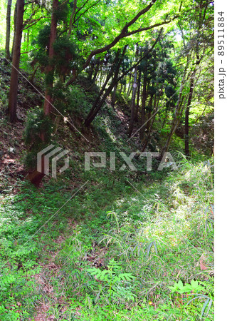 滝山城　続日本100名城 89511884