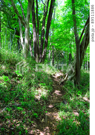 滝山城　続日本100名城 89511886