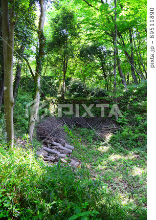 滝山城 続日本100名城 滝山城 続日本100名城 89511890