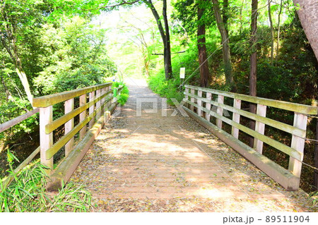 滝山城　続日本100名城 89511904