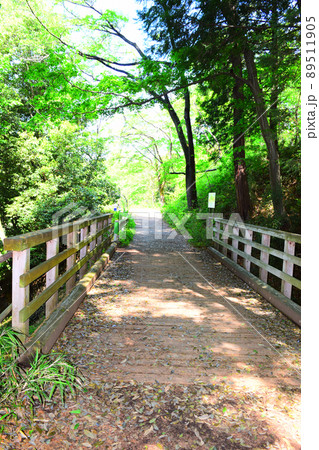 滝山城　続日本100名城 89511905