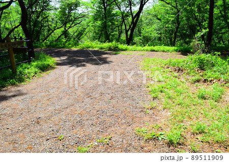 滝山城 続日本100名城 滝山城 続日本100名城 89511909