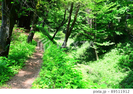 滝山城 続日本100名城 滝山城 続日本100名城 89511912